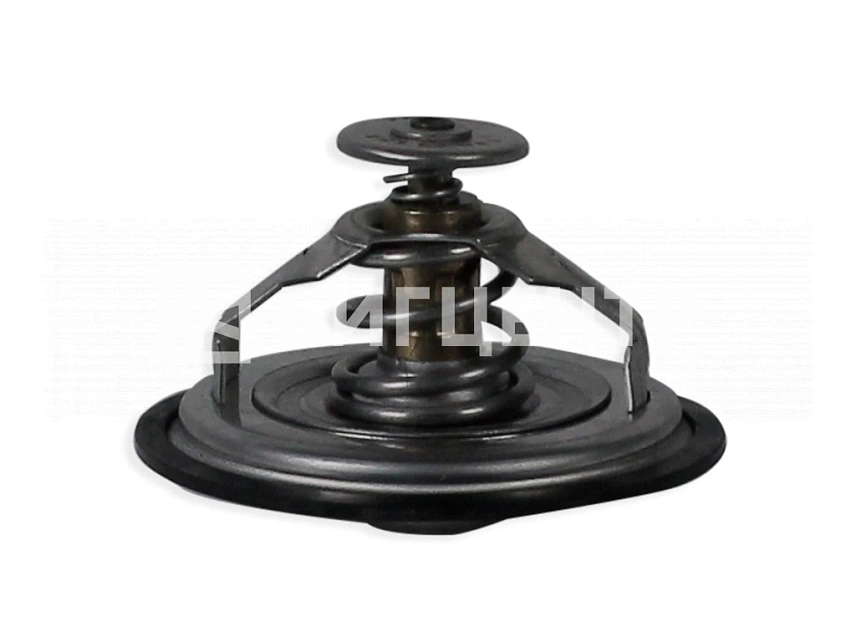 Термостат (76C) двигатель DEUTZ TD226В-4G/WP4G