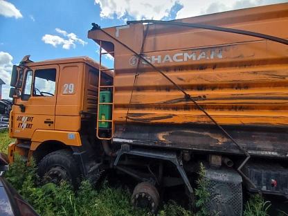 Самосвал Shacman SX3318DT366 1860 - (АЛ)