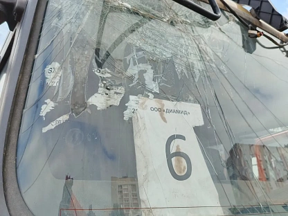 Самосвал Shacman SX33186V366 988 - (АЛ)