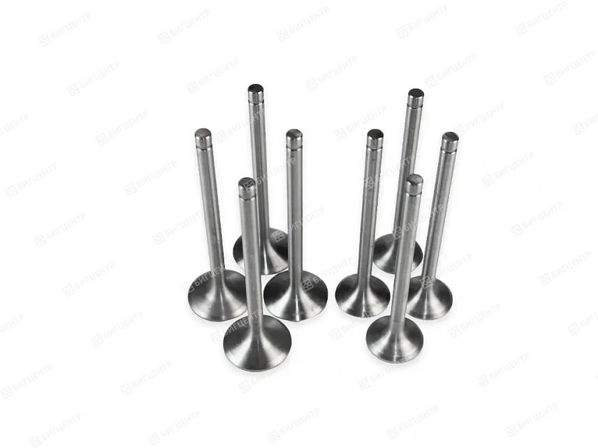 Клапан впускной/выпускной R010001 YT4B2Z-24 комплект