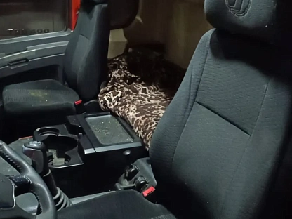 Тягач седельный Shacman SX42584W324C 000008295 - (АЛ)