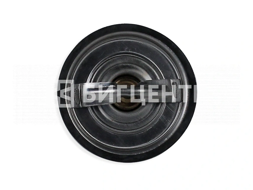 Термостат (76C) двигатель DEUTZ TD226В-4G/WP4G