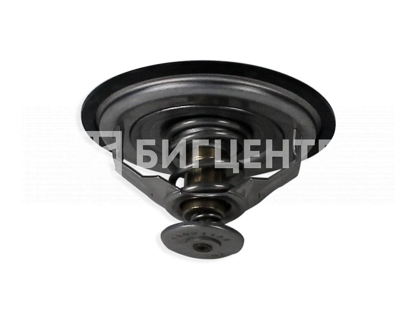 Термостат (76C) двигатель DEUTZ TD226В-4G/WP4G