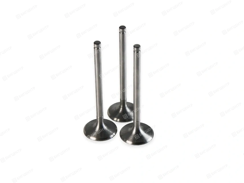 Клапан впускной (комплкет) двигателя Changchai ZN390B