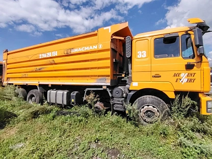 Самосвал Shacman SX3318DT366 1861 - (АЛ)